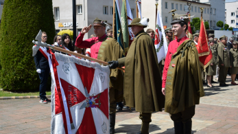 Dowiedz się więcej - 130 lat Towarzystwa Gimnastycznego w Ropczycach